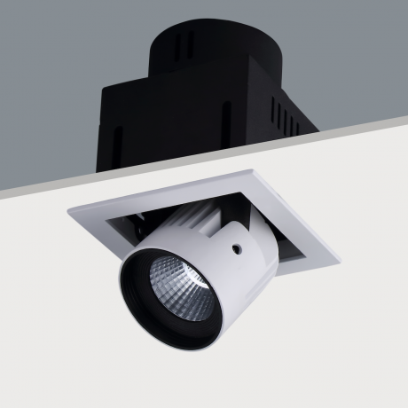 STR391 20W Semi Recessed Adjustable Spot