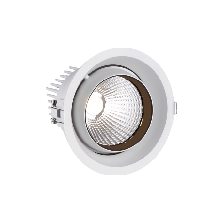 STR191 30W & 40W Adjustable LED Downlight 