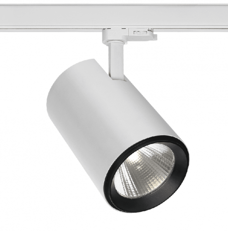 30W Track Light Polestar White / Black