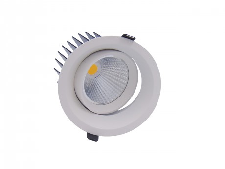 20W Pro AG2 Low Glare Tiltable LED Downlight 