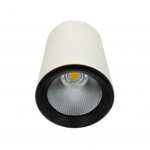 PS-25-4000 Surface Mounted LED Downlight (Spotlight)