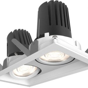 Twin Downlight