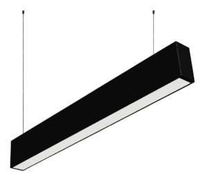 Linear Light in Black