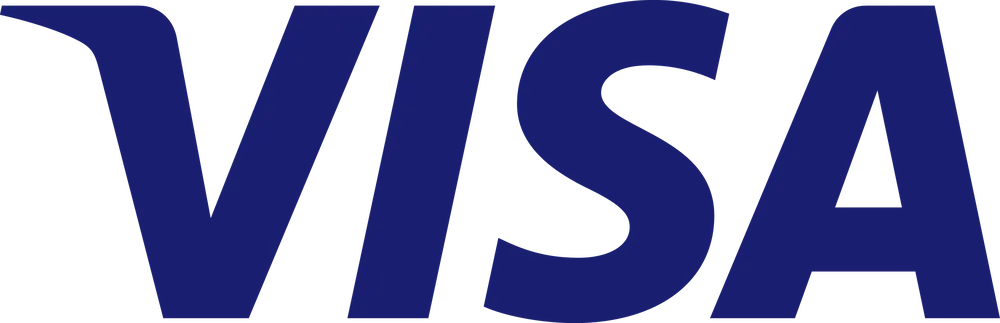 Footer Logo Visa